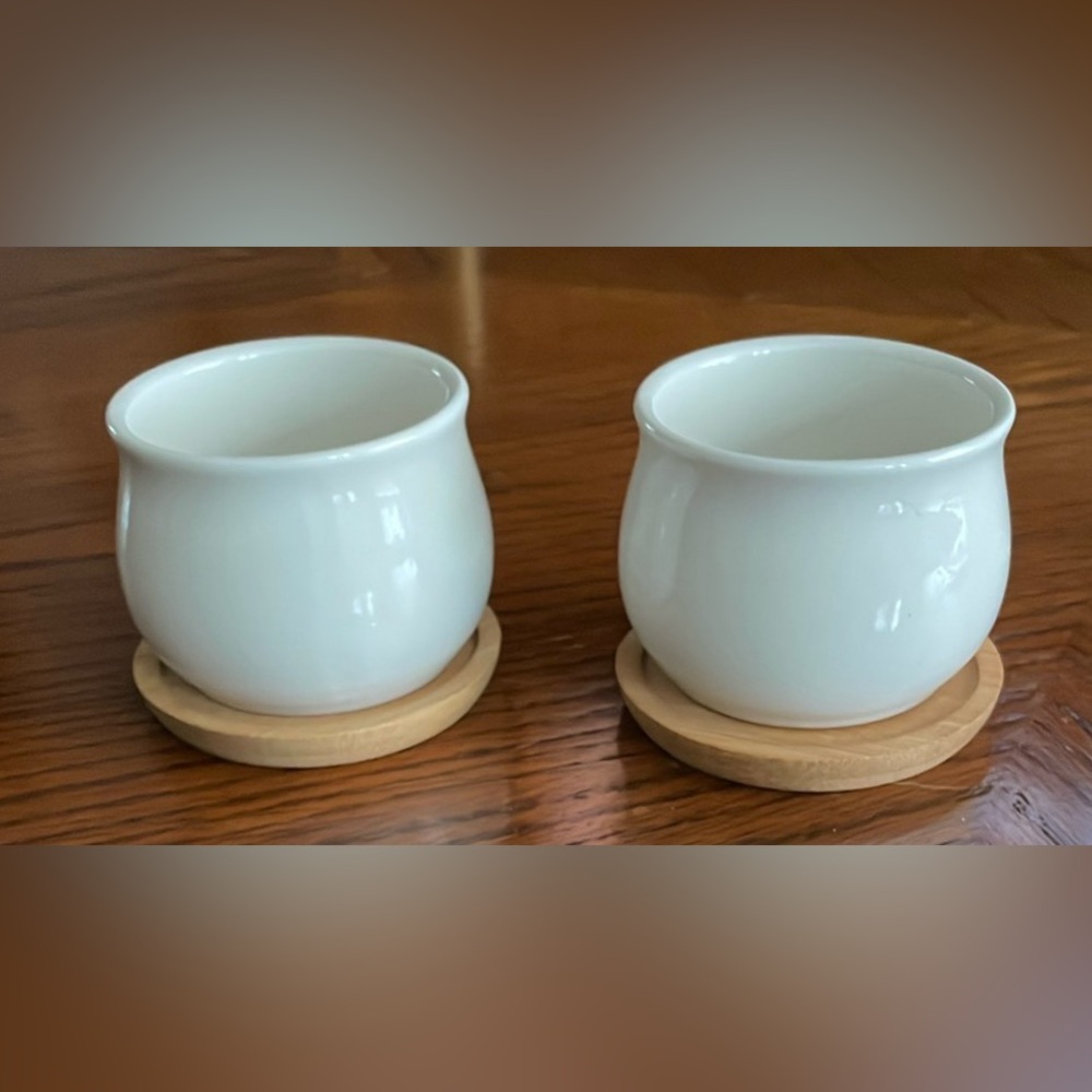 2 Succulent Pots Small White Bamboo Tray